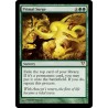 Primal Surge AVR NM