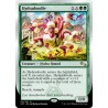 Hydradoodle UST NM