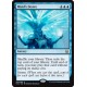 Mind's Desire DDS NM