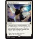 Regna's Sanction BBD NM