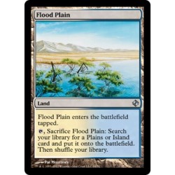 Flood Plain DDI NM