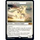 Cavalier of Dawn M20 NM