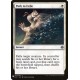 Path to Exile EO2 (Mystery) NM