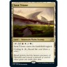 Savai Triome IKO NM