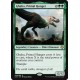 Ghalta, Primal Hunger GNT NM