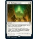 Call the Coppercoats C20 NM