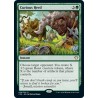 Curious Herd C20 NM