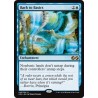 Back to Basics UMA NM