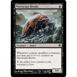 Mortician Beetle ROE NM