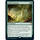 Primeval Bounty JMP NM