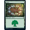 Forest 72 JMP NM