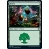 Forest 76 JMP NM