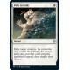 Path to Exile JMP NM