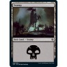 Swamp 54 JMP NM