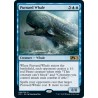Pursued Whale M21 NM