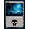 Swamp 61 JMP NM