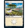 Plains 45 JMP NM