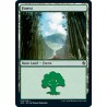 Forest 75 JMP NM