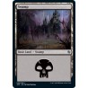 Swamp 60 JMP NM
