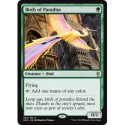 Birds of Paradise GK2 NM