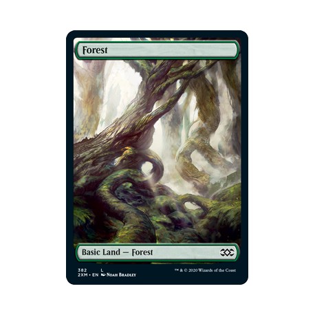 Forest 382 2XM NM