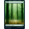 Forest 381 2XM NM