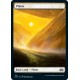 Plains 374 2XM NM
