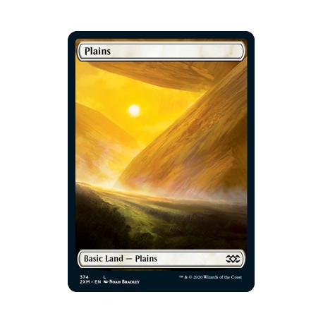 Plains 374 2XM NM
