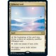 Glimmervoid 2XM NM