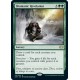 Shamanic Revelation 2XM NM
