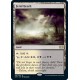 Fetid Heath 2XM NM