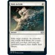 Path to Exile 2XM NM