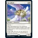 Reveillark C20 NM