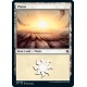 Plains 40 JMP NM