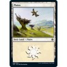 Plains 44 JMP NM