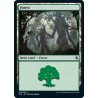 Forest 70 JMP NM