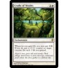 Cradle of Vitality C13 NM
