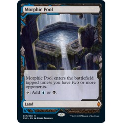 Morphic Pool ZNE NM