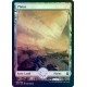 Plains 266 FOIL ZNR NM