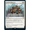 Flawless Maneuver C20 NM