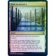 Path of Ancestry FOIL CMR NM