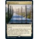 Path of Ancestry (Extended) CMR NM