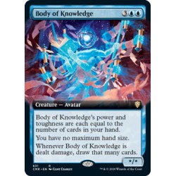 Body of Knowledge (Extended) CMR NM