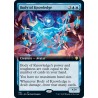 Body of Knowledge (Extended) CMR NM
