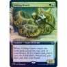 Coiling Oracle (Extended) FOIL CMR NM