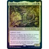 Colfenor, the Last Yew FOIL CMR NM