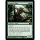 Primeval Titan M12 NM
