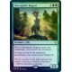 Dawnglade Regent FOIL CMR NM
