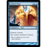 Control Magic C13 SP