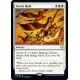 Storm Herd C19 NM